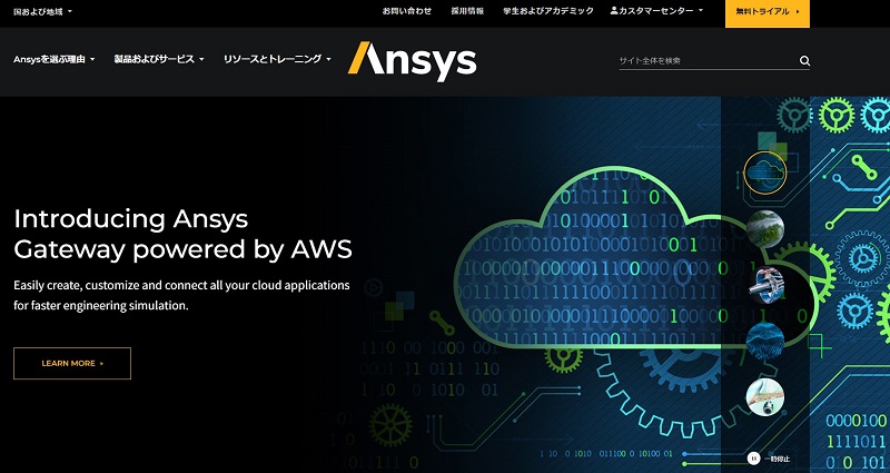 ANSYS-Software