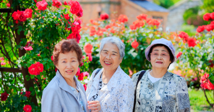 高齢労働者雇用は人材不足解消として注目されている