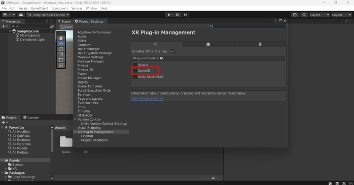 「OpenXR」のボックスにチェックを入れる