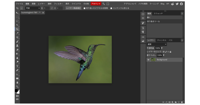 Photopeaの使い方・切り抜き