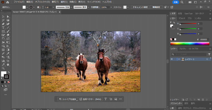 画像ファイルを開く