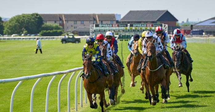 競馬予想AIを利用するメリット